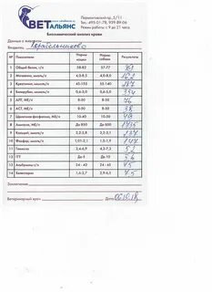 Срок изготовления анализов