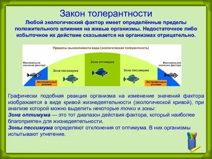 Закон экологического класс