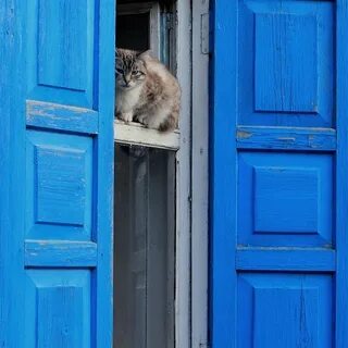 В синем окне