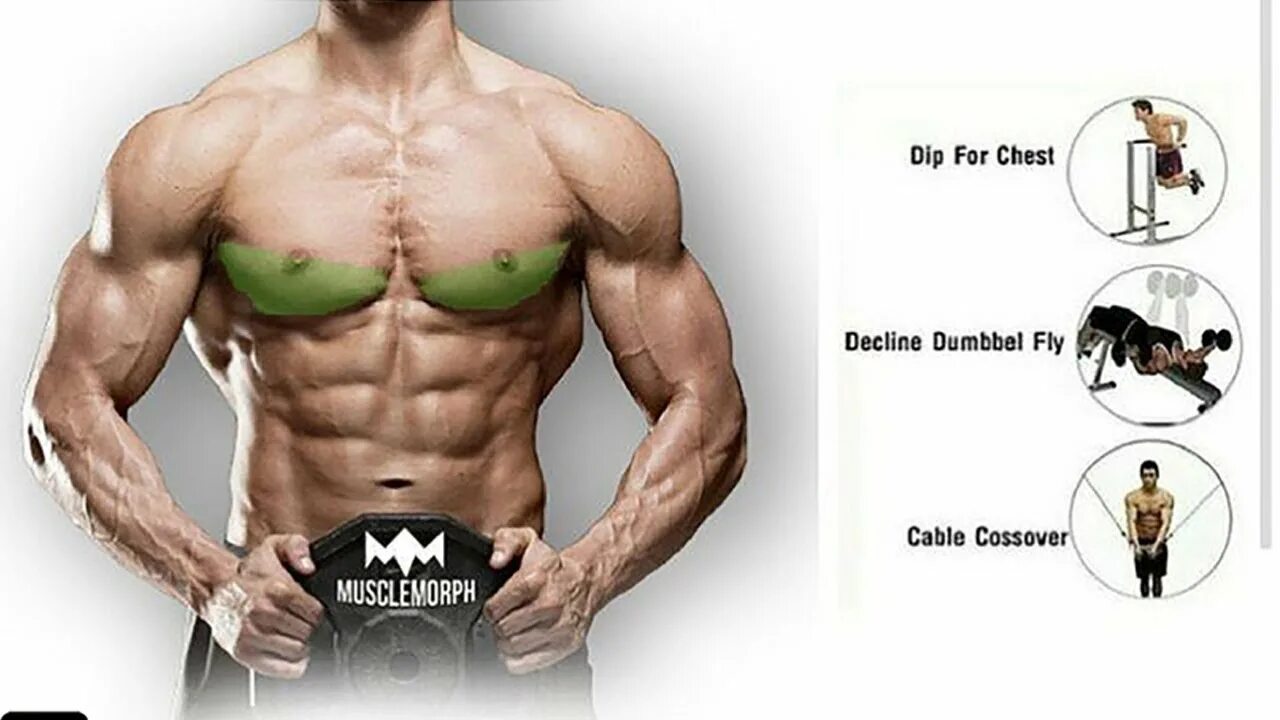 Низ груди прокачать в зале. Упражнения для накачивания грудных мышц. Отстающий низ груди. Низ грудных мышц. Низ грудных мышц.