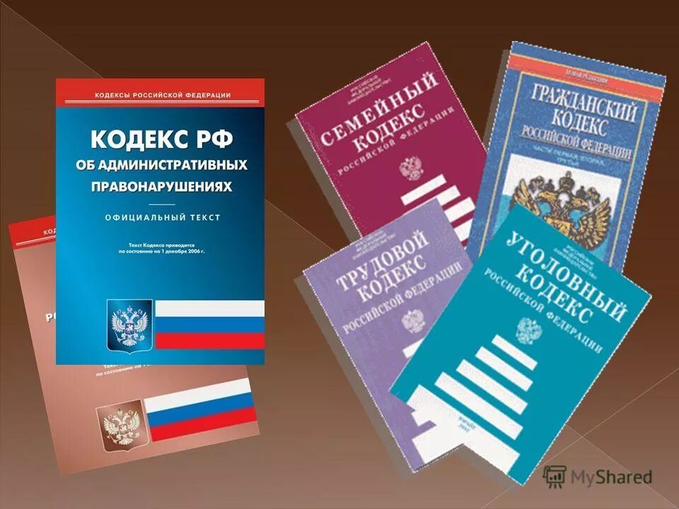 23 июня 182 фз. Основа системы профилактики преступности. Законодательство об основах системы профилактики. Об основах системы профилактики правонарушения. Федеральный закон 120.