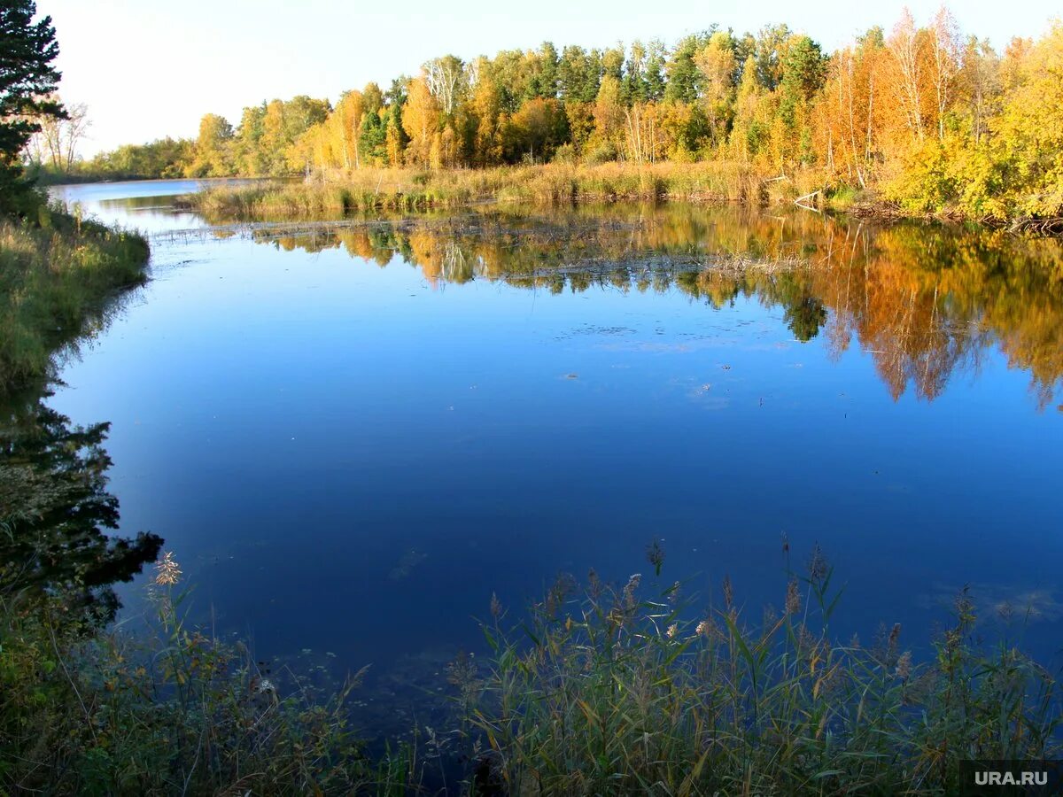 Природа Курганской области. Пейзаж Курганской области. Курганская область красивые места. Природа Курганской области фото. Черная речка курган