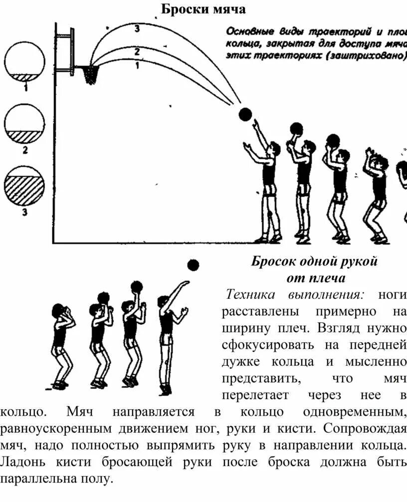 Сколько забивают в баскетболе