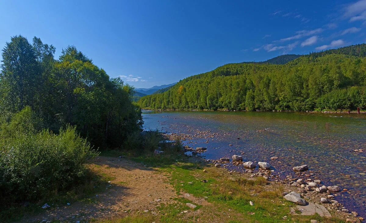 Кейворды для детей. Сканворды с ответами для печати. Сканворд 4 буквы. 03. Сканворд армия.