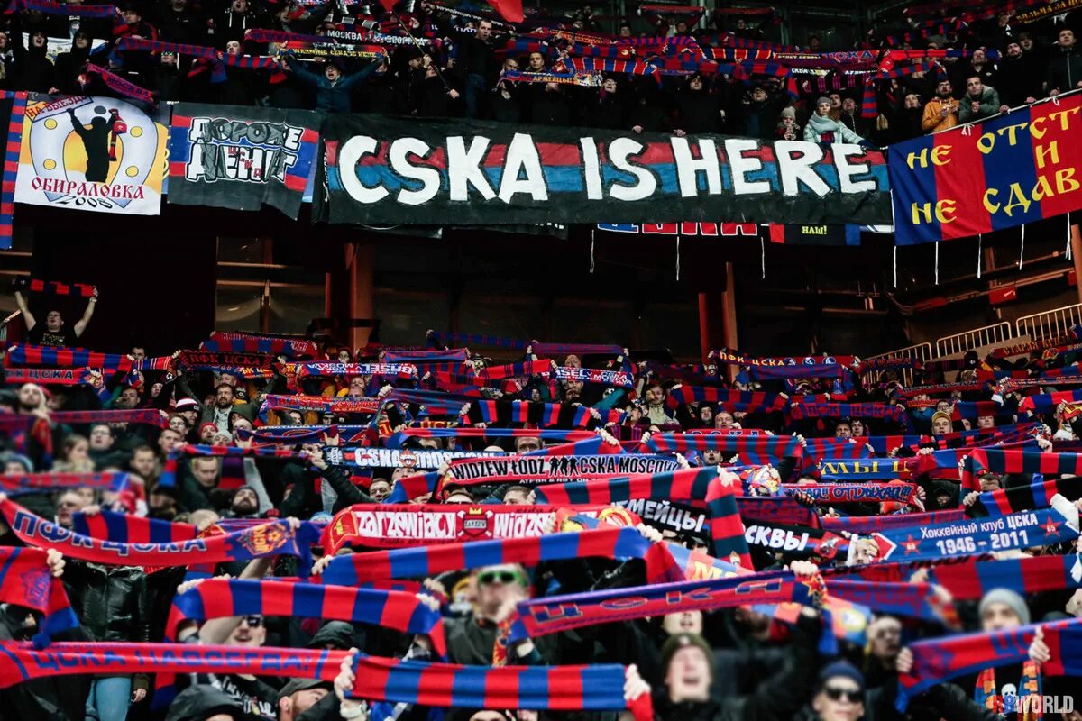 Cska is here. Warning cska is here. планета цска. фанаты цска розы.