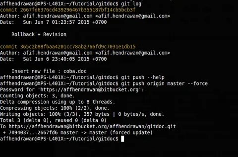 Git push force