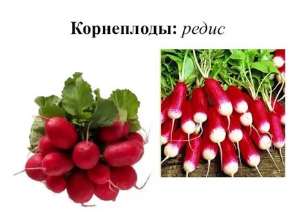 Система редис