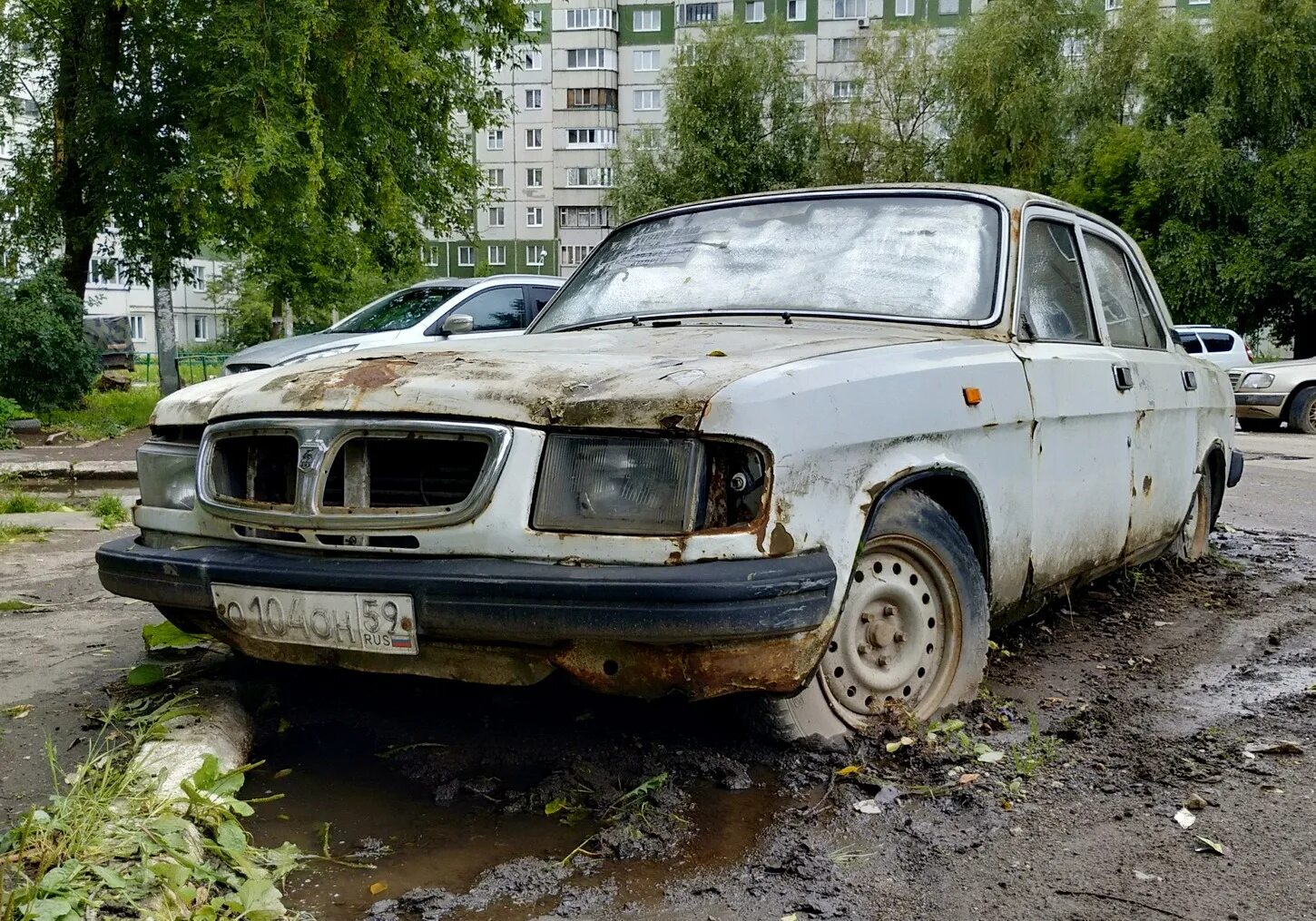 Газ 31029 ржавая. Гнилой газ. Гнилой газ. Волга газ 24 ржавая. Газ 31029 гнилая.