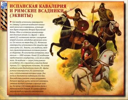 Мантия кавалериста 5 букв сканворд