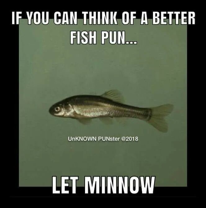 It is a fish. Мемы про рыбалку. harder мем рыба. funny fish meme. неизвестные рыбы 3 класс.