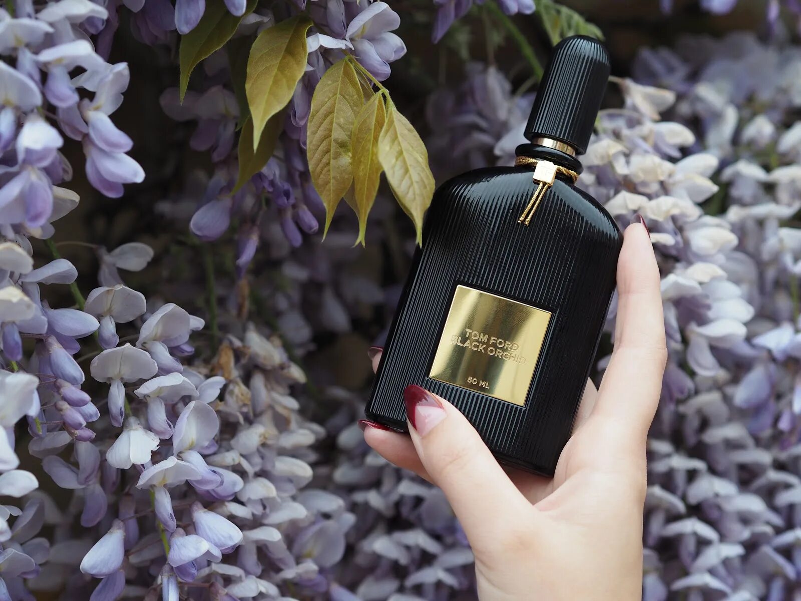 Tom Ford Black Orchid 30ml. Tom Ford Perfume Black Orchid. Tom Ford Signature. Tom Ford Black Orchid мужской. Tom ford orchid мужские