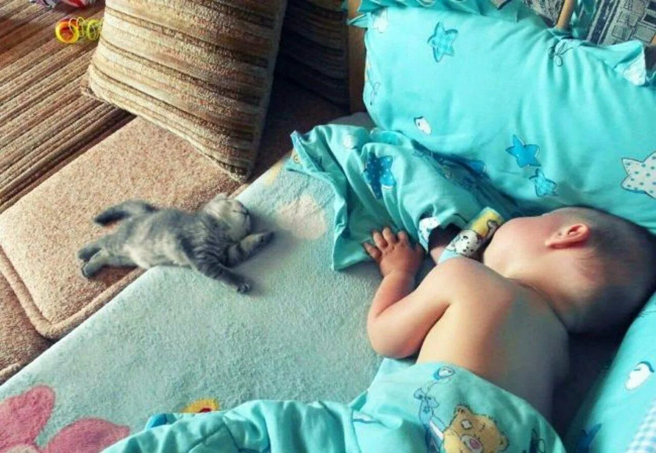 Кот спавший ребенка. Спят усталые детишки. фото кто то сладко спит. кот укладывается спать ребенка. спишь так сладко малыш вставай.
