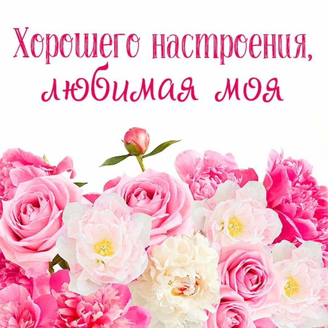 Стих прости меня мама. Стих простите меня. Извини мама я стану. Мамочка прости меня пожалуйста. Стих мама прости.
