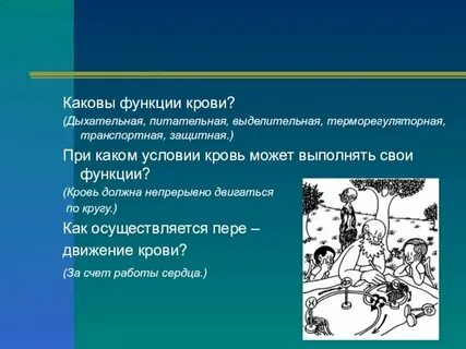 Какова роль и место экономики в обществе
