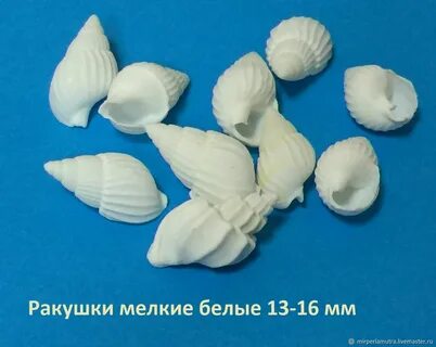 Мелки ракушки