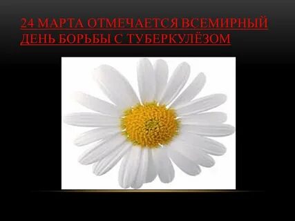 Класс туберкулеза