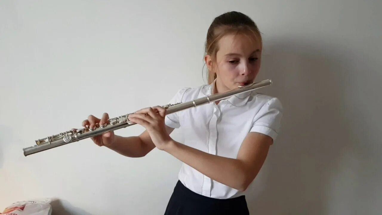 Флейта sesenta ssf850sv. Флейта дидзи. Трек флейта. Флейта на белом фоне. Флейта dimavery qp-51.