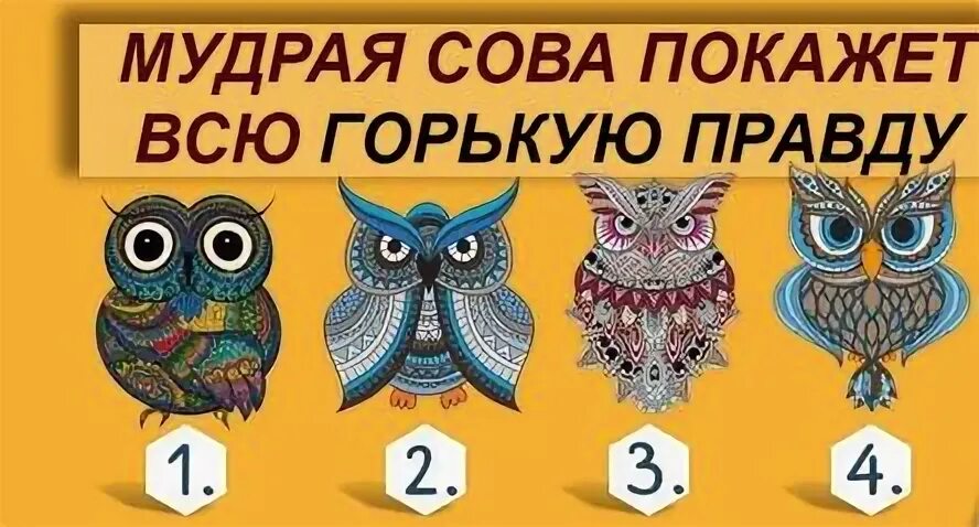 Сове подходит 3 из 4 шнурков