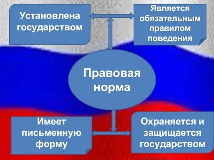 Обязательное правило поведения установленное государством