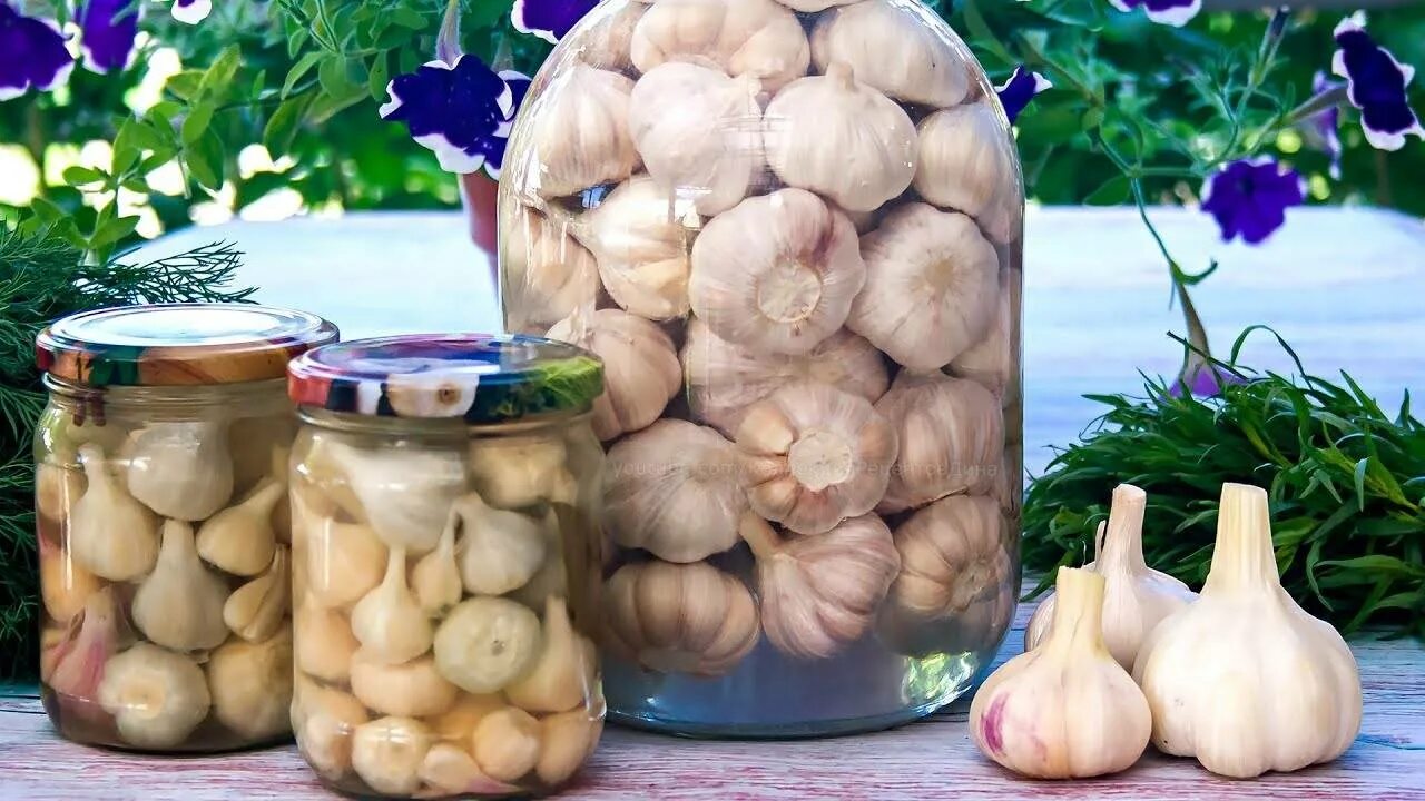 Маринованные чеснок рецепты приготовления на зиму. Чеснок. маринованный чеснок. консервирование чеснока. соления чеснока головками.