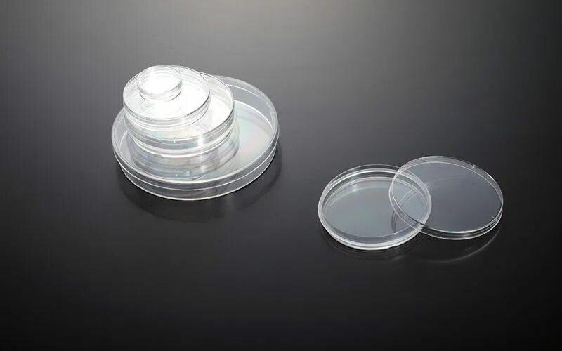 Чаша петри пластик 60мл. Чашка петри 6. Чашка петри 6. Посуда для культивирования клеток. Чашка петри одноразовая стерильная.