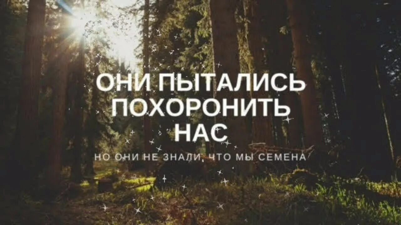 Я хочу быть погребенным в пышных. Они хотели нас похоронить но не знали. Они хотели похоронить нас но они не знали что мы семена. Они не знали что мы семена. Они похоронили нас но не знали что мы семена.