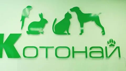 Котонай ул шубиных 26б отзывы
