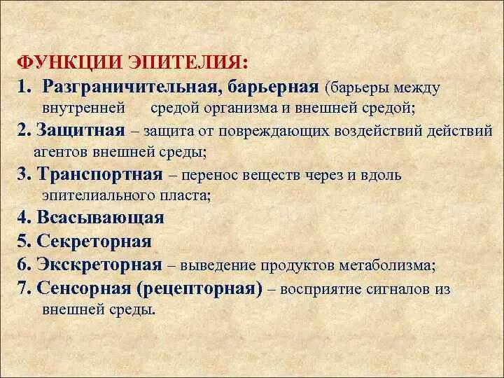 Функции эпителия. Функции покровного эпителия. Барьерная функция эпителиальной ткани. Экскреторная функция эпителиальной ткани.