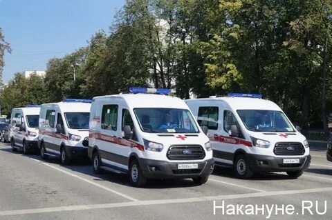 Результаты проверки скорых