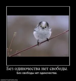 Одиночества нет