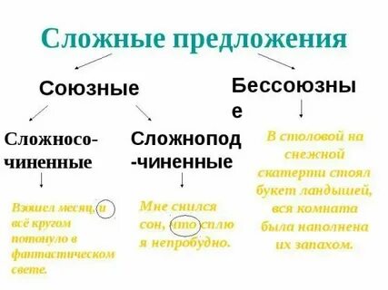 Союзная связь примеры