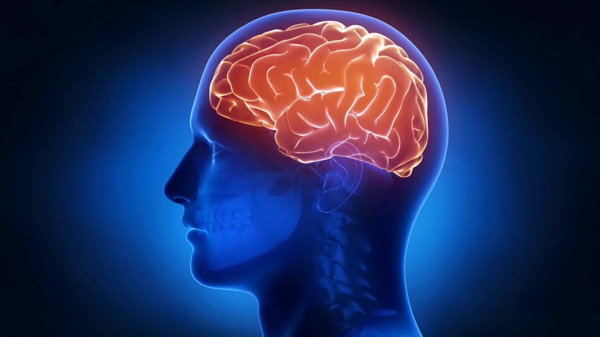 Видео про мозг. Изображение мозга.