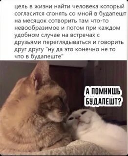 Удобный случай встретиться 6