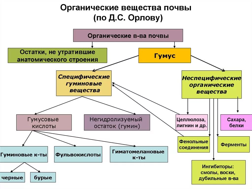 Д с основной элемент. Химический состав почвы органические вещества. Состав органического вещества почвы. Основной компонент органического вещества почвы:. Схема состава органического вещества почвы.