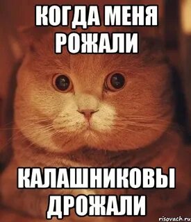 Когда меня рожали дрожали