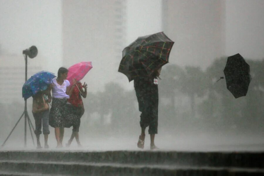 Wind the rain. Rainy windy. heavy rain in sri lanka. in the days of rain.