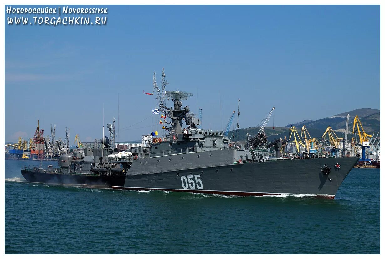 Мпк пр 204 в германии. Мпк 1124м альбатрос. Мпк 1124 м ейск. 1124п альбатрос. Мпк 1124м альбатрос.