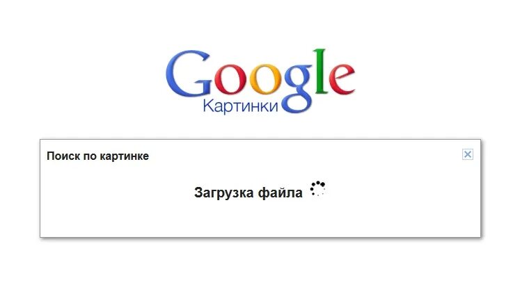 Поиск по картинке. Искать картинку по картинке. Похожих картинок по картинке. Искать похожие изображения по картинке. Как найти картинку в гугле по картинке.