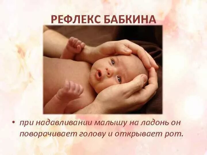 Рефлекс три. Ладонно-ротовой рефлекс бабкина. рефлексы новорожденного бабкина. ладонно-ротовой рефлекс (бабкина) новорожденного. рефлекс бабкина у новорожденных.
