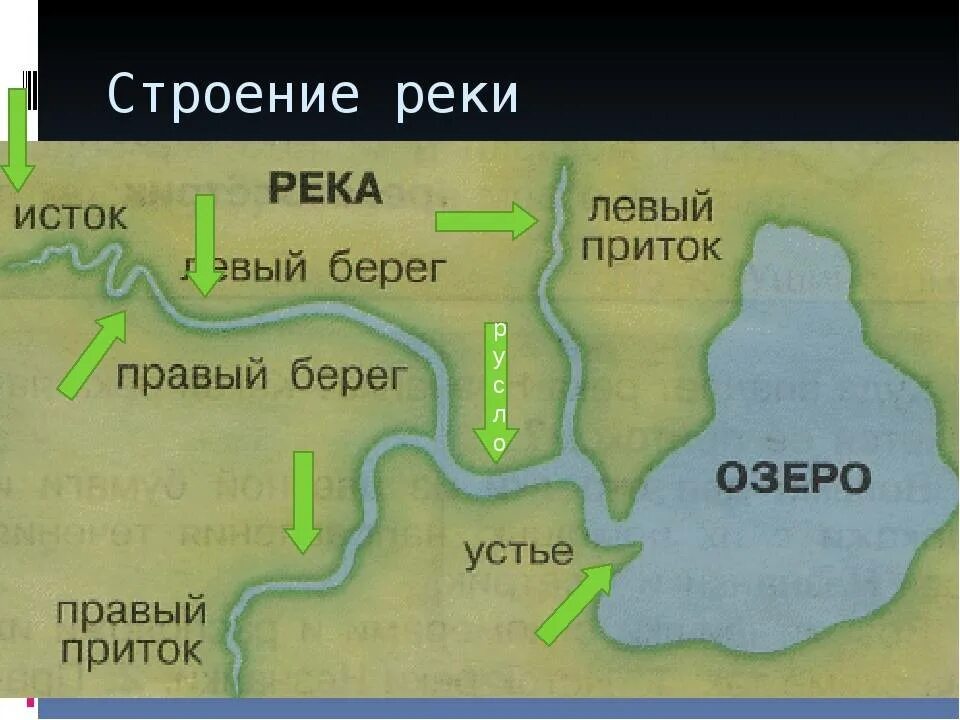 Река устье исток русло. Строение реки устье исток. Река части реки для детей. Где начинается озеро. Название частей реки.