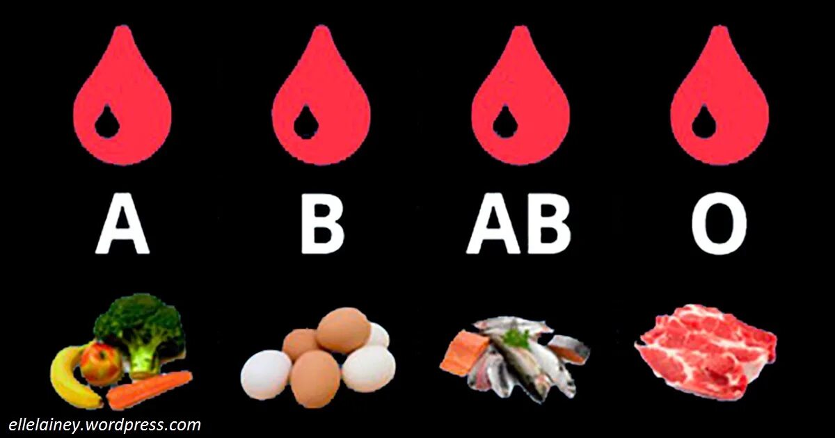 Группа крови и питание. Диета по группе крови. Питание по группе крови таблица. Питание по второй группе крови. Еда по группе крови