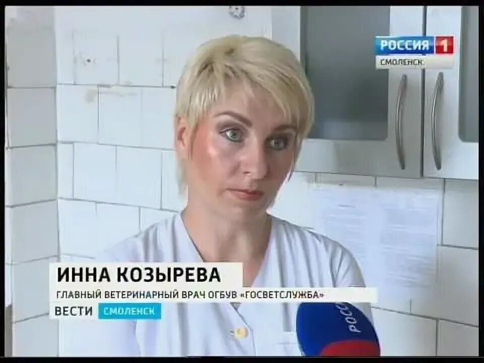 Тюрин смоленск госветслужба. Ветклиника базылевского могилёв. Ветклиника базылевского могилёв. Ветклиника 25 сентября смоленск. Ветцентр смоленска.