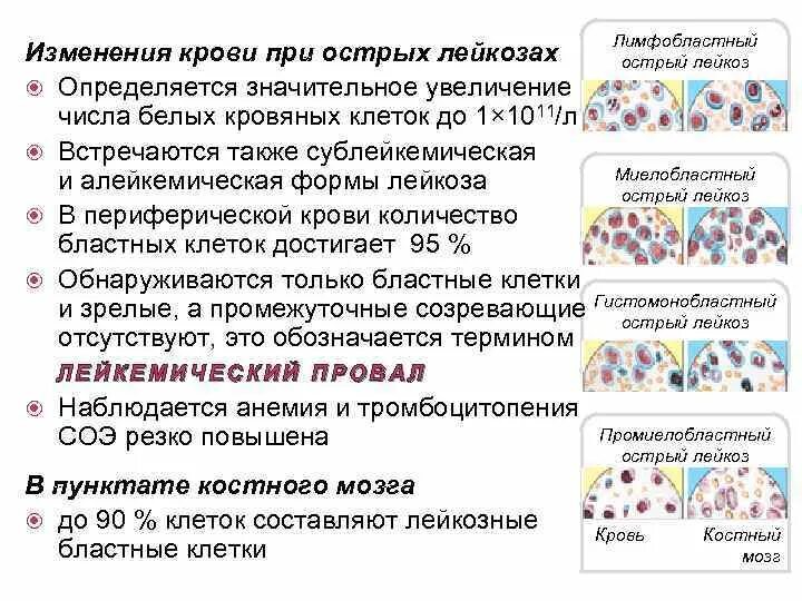 Лейкоз у детей анализ крови таблица Патофизиология системы гемостаза Структура системы