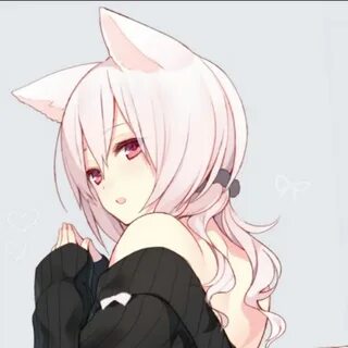 白 い 猫 ミ リ ア ナ Miriana - YouTube 