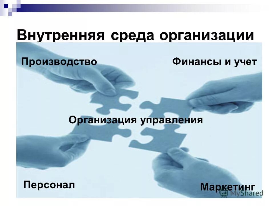 внутренняя и внешняя среда предпринимательской деятельности. виды финансовых прогнозов. составляющие организации. производство персонал финансы. функции ген директора организации.