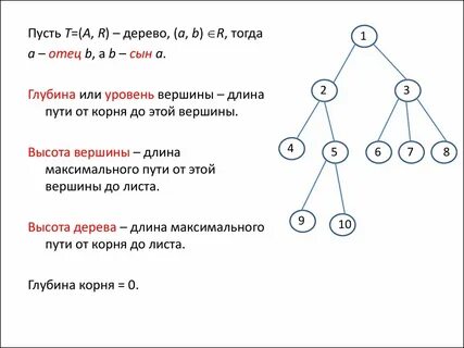 Сколько ребер в дереве