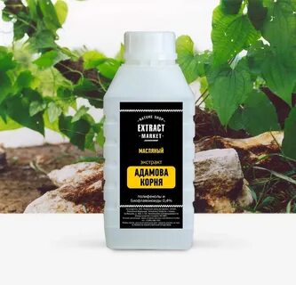 Адамов корень настойка