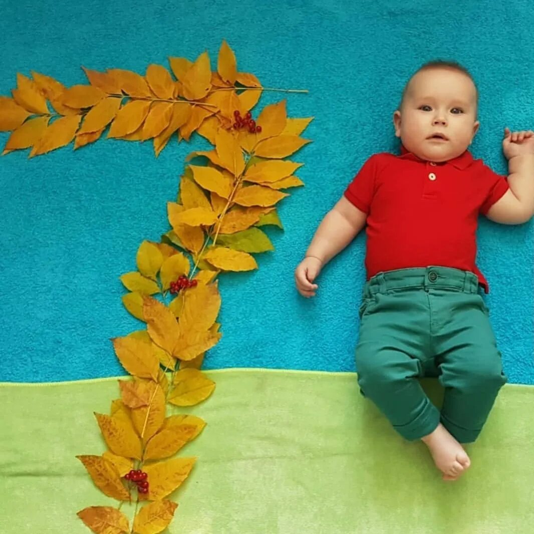 Идеи 7 месяцев мальчика. Идеи для фотосессии малыша. фотосессия ребенка по месяцам с осенними листьями. идеи фотосессии на 7 месяцев. фотосессия малыша 7 месяцев.