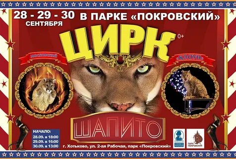 Мамонтов хотьково кинотеатр афиша
