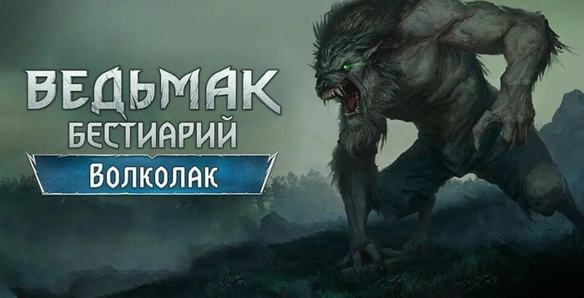 Волколак ведьмак 3. Оборотни в ведьмаке 3 бестиарий. ведьмак бестиарий волколак. ведьмак монстры альфа волколак. славянские монстры бестиарий.